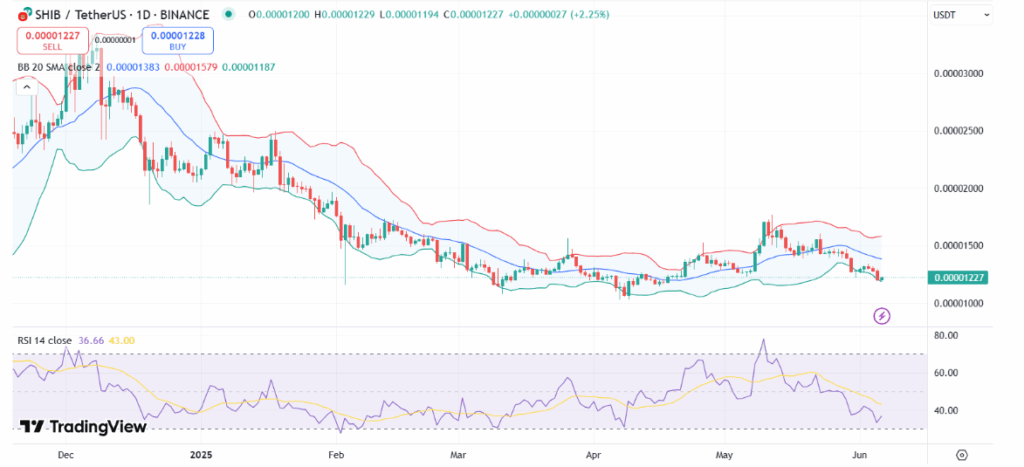 SHIB Price Drops 5% as Dormant Whale Takes Profit, What’s Next for Shiba Inu?