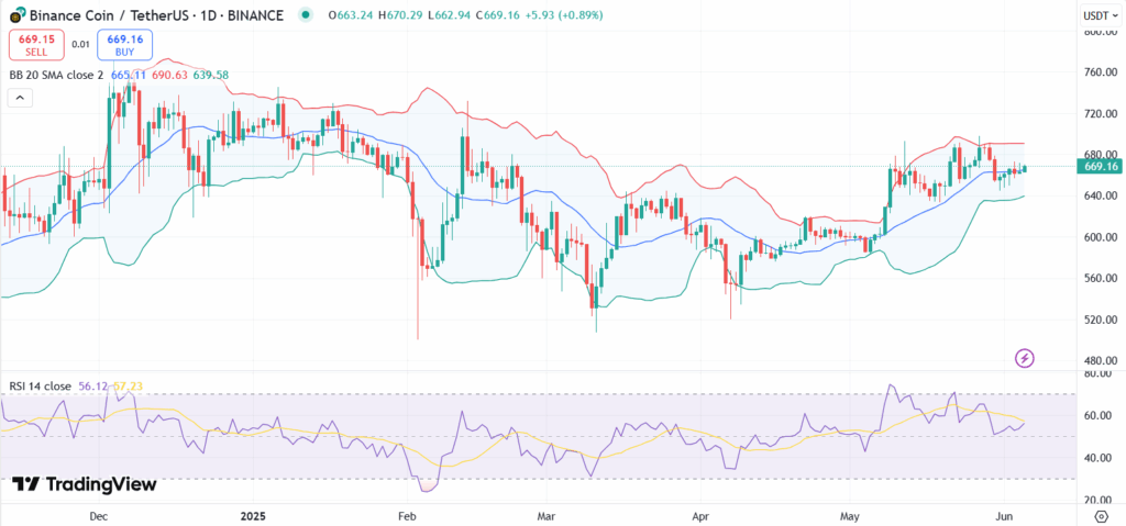 BNB Chain Sees Most Active Week in a Year, BNB Price to $800?